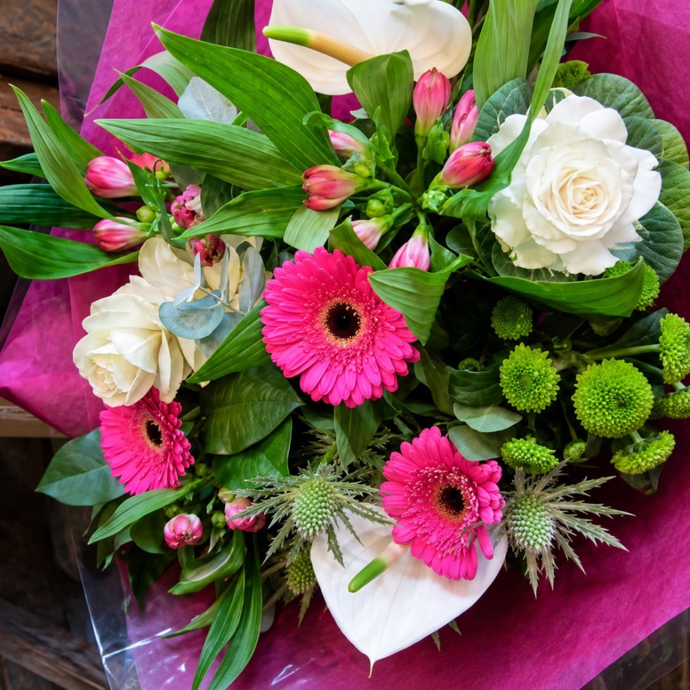 Florist Choice Product Image
