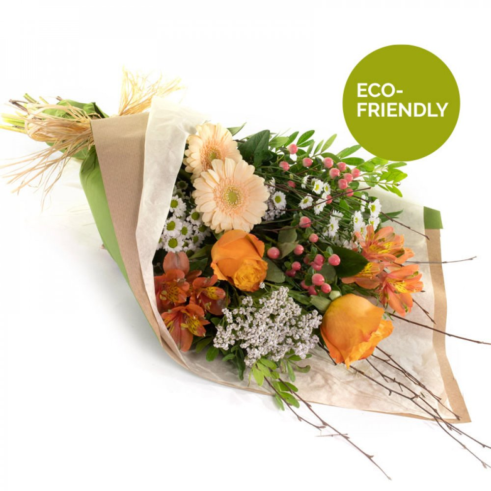 Autumn arises Product Image